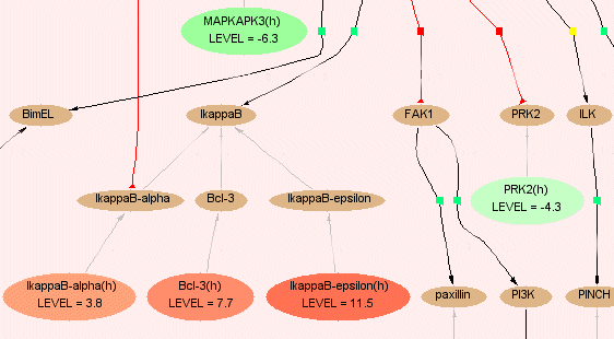 Fig.5 Map with highlighted matched molecules and different expression levels