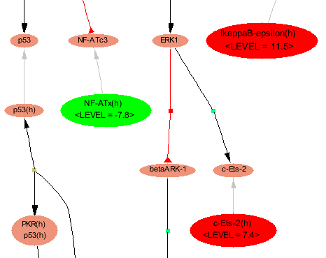 Fig.6 Map with highlighted matched molecule