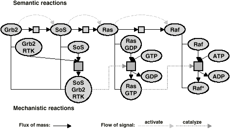 Semantic and mechanistic reactions
