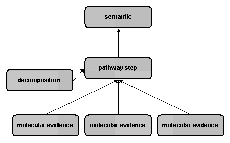 Reaction hierarchy